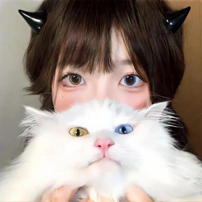 我的夏日恋曲