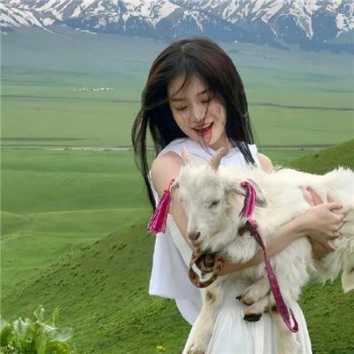 战斗吧!书店女孩